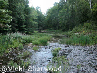 Killarney Park - Chikanishing River leaving George Lake