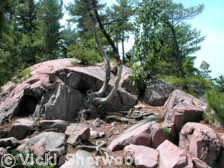 Killarney Park - Granite Ridge Trail
